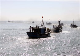 Nỗ lực cứu ngư dân bị cá cắn trọng thương trên biển