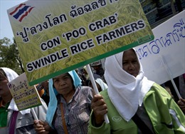 Nông dân Thái Lan nhăm nhe biểu tình đòi trả tiền gạo 