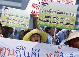 Thủ tướng Thái Lan cam kết thanh toán tiền gạo cho nông dân 