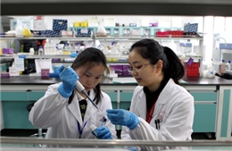 Thêm 4 trường hợp nhiễm cúm H7N9 tại Trung Quốc 