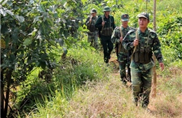 Thanh niên Quân khu II hăng hái lên đường bảo vệ Tổ quốc 