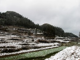 Tuyết, băng phủ trắng cao nguyên đá Đồng Văn 