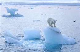 Băng Nam Cực sẽ tan nhanh trong nhiều thập kỷ tới 