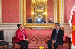 Việt, Pháp trao đổi kinh nghiệm hoàn thiện pháp luật