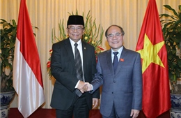 Chủ tịch Quốc hội hội đàm với Chủ tịch Hội đồng Hiệp thương Nhân dân Indonesia