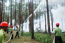 Cháy rụi 4.000m2 rừng phòng hộ ở Đắk Nông