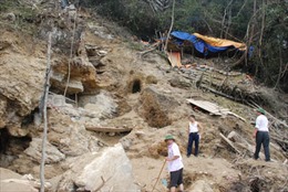 Đổ xô đào vàng trên núi Pá Phay 
