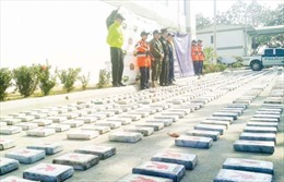 Colombia tịch thu gần 800 kg cocaine 