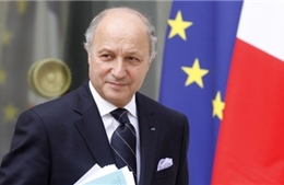 Pháp cảnh báo EU có thể lập tức trừng phạt Nga
