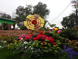 Ngập sắc màu tại Triển lãm Hoa ở Hong Kong