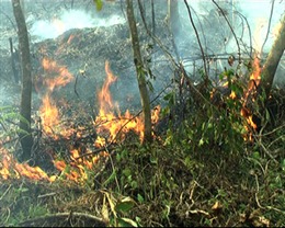 Cảnh báo cháy rừng cấp 5 trên đảo Phú Quốc 