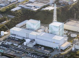Đa số ứng cử viên Thủ tướng Nhật Bản ủng hộ duy trì chương trình tái chế nhiên liệu hạt nhân