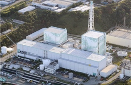 Nhật Bản tái khởi động lò phản ứng hạt nhân 