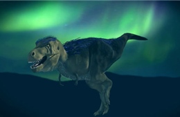 Phát hiện &#39;họ hàng&#39; của khủng long bạo chúa tại Bắc Cực 