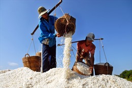 Phát triển và bảo tồn nghề muối tại huyện Cần Giờ