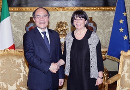 Chủ tịch Quốc hội Nguyễn Sinh Hùng hội đàm với Phó Chủ tịch Hạ viện Italy