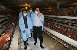 Kiểm tra công tác phòng chống cúm gia cầm tại Lạng Sơn