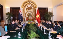 Triển khai quan hệ đối tác toàn diện Việt Nam - New Zealand