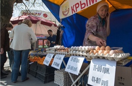 Châu Âu trừng phạt người Crimea