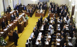 Hạ viện Séc bác bỏ việc sáp nhập Crimea vào Nga
