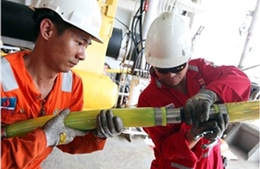 PTSC CGGV nâng cấp toàn bộ hệ thống cáp thăm dò địa chấn 