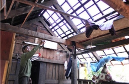 Lốc xoáy gây nhiều thiệt hại tại huyện miền núi Quảng Ngãi 