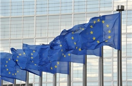EU nhất trí gia hạn trừng phạt Nga thêm 6 tháng