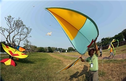 Chiêm ngưỡng “Những cánh bay Việt Nam” tại liên hoan diều Festival Huế 