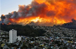 Chile: Hỏa hoạn thiêu rụi 500 ngôi nhà, ngàn người sơ tán 