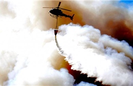 Argentina điều máy bay giúp Chile dập hỏa hoạn