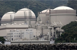 Nhật Bản sẽ xuất khẩu các lò phản ứng hạt nhân