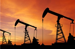 Nga phát hiện mỏ dầu lớn nhất trong 20 năm