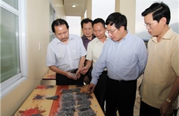 Hà Giang cần đẩy mạnh công tác đối ngoại