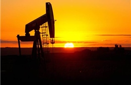 Giá dầu mỏ tăng trước thông tin từ Mỹ 