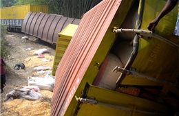 57 người chết vì tàu trật bánh tại Congo