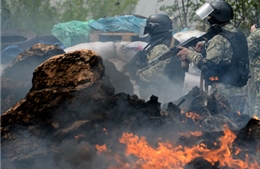 Tình hình miền Đông Ukraine diễn biến xấu
