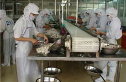 Tạo chuyển biến căn bản phát triển ĐBSCL