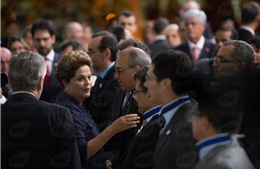 Tổng thống Brazil sẽ tái tranh cử kể cả không được đồng minh ủng hộ