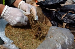 Iran tịch thu 2,5 tấn ma túy