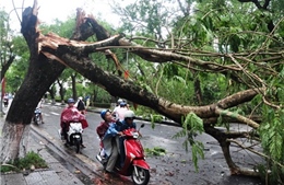 Đêm nay Đông Bắc Bộ đề phòng mưa dông, tố lốc