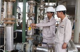 Nhà máy Ethanol Bình Phước chưa vận hành thương mại