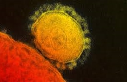 Mỹ xác nhận trường hợp thứ hai nhiễm virus MERS 