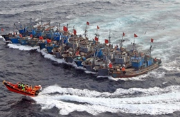 Tàu cá Trung Quốc tràn sang biển Hàn Quốc đánh bắt trái phép 