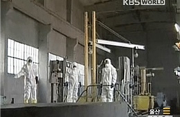 Triều Tiên khẳng định tiếp tục chương trình vũ khí hạt nhân