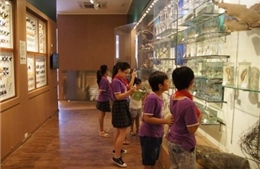 Khai trương phòng trưng bày tiến hóa sinh giới đầu tiên 