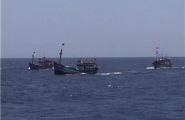 Tàu Trung Quốc lại tấn công tàu cá Việt Nam