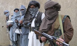 Afghanistan bắt thủ lĩnh chủ chốt của Taliban