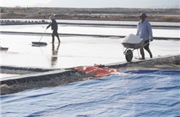 Mô hình sản xuất muối trải bạt có nguy cơ &#39;chết yểu&#39;