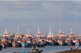 Ngư dân vẫn kiên trì bám biển quanh khu vực giàn khoan 981