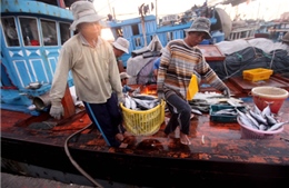 Lệnh cấm đánh bắt cá của Trung Quốc vô giá trị